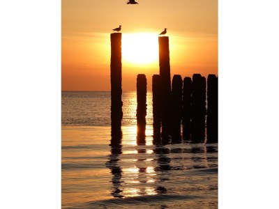 Bungalow De Zandput 4 - Outdoor photo 32