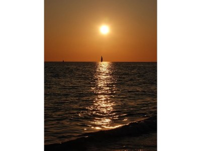 Bungalow De Zandput 4 - Environment photo 39