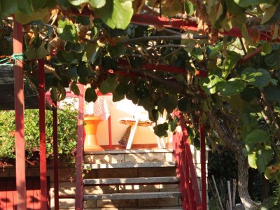 Apartment Two bedroom apartment with terrace Umag A-6994-b - Outdoor photo 6