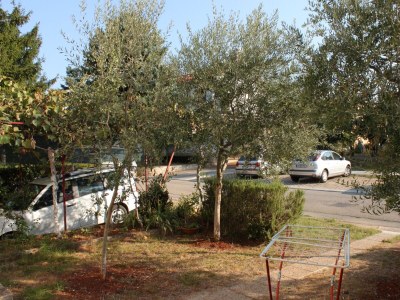 Apartment Two bedroom apartment with terrace Umag A-6994-b - Outdoor photo 25