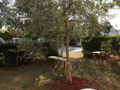 Apartment Two bedroom apartment with terrace Umag A-6994-b - Outdoor photo 26