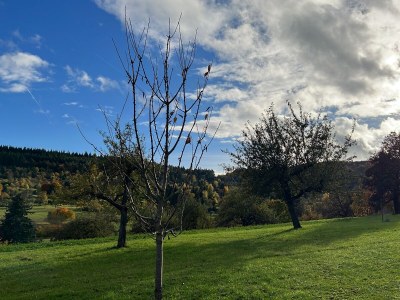 Holiday apartment No title - Environment photo 38