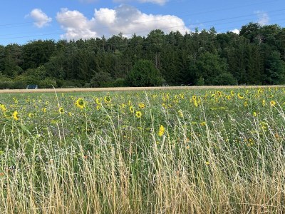 Holiday apartment No title - Environment photo 39