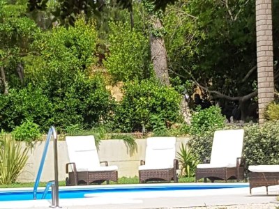 Apartment One bedroom apartment with terrace Banjol, Rab A-5007-a - Outdoor photo 6