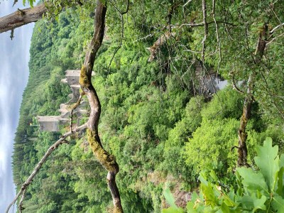 Apartment 2-Bett Ferienhaus Merle - Outdoor photo 14