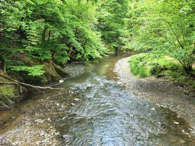 Apartment 2-Bett Ferienhaus Merle - Outdoor photo 15