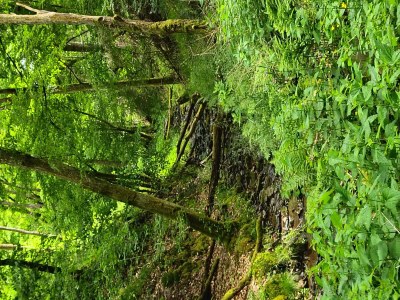 Apartment 2-Bett Ferienhaus Merle - Outdoor photo 16