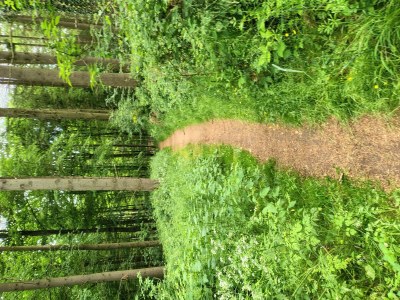 Apartment 2-Bett Ferienhaus Merle - Outdoor photo 17