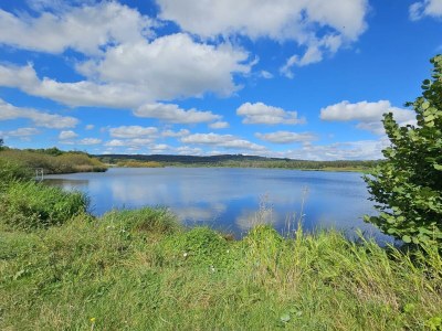 Apartment 2-Bett Ferienhaus Merle - Outdoor photo 23