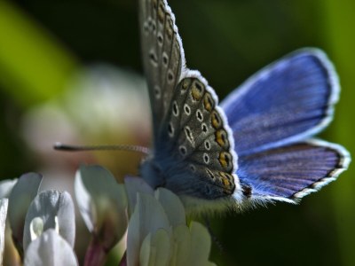 Holiday apartment Königsanger - Environment photo 24