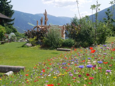 Holiday apartment Farmhouse - Outdoor photo 7