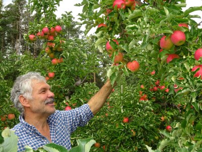 Holiday apartment Farmhouse - Outdoor photo 13