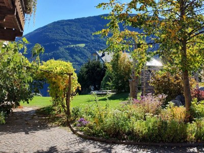 Holiday apartment Farmhouse - Outdoor photo 15