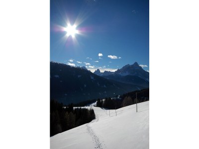 Holiday apartment Farmhouse - Environment photo 30