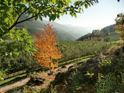 Holiday apartment Farmhouse - Environment photo 31