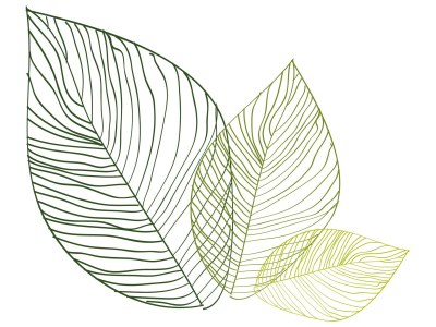 Holiday apartment Farmhouse - Document photo 35