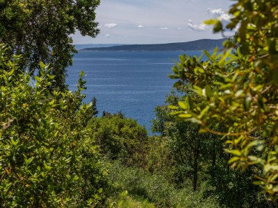 Apartment Two bedroom apartment with terrace and sea view Brela, Makarska A-24541-a - Outdoor photo 34