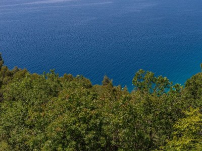 Apartment Two bedroom apartment with terrace and sea view Brela, Makarska A-24541-a - Outdoor photo 36