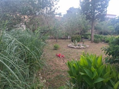 Apartment Two bedroom apartment with terrace Palit, Rab A-24800-a - Outdoor photo 4