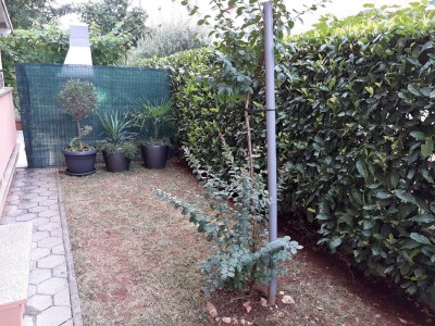 Apartment Two bedroom apartment with terrace Malinska, Krk A-19309-a - Outdoor photo 6