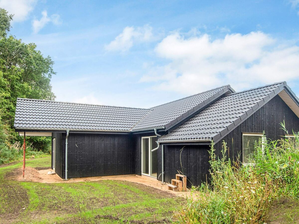 Holiday house 5 Sterne Ferienhaus in Ansager - Outdoor photo 2