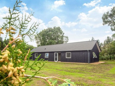 Holiday house 5 Sterne Ferienhaus in Ansager - Outdoor photo 31