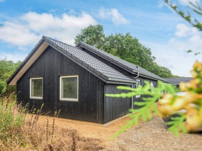 Holiday house 5 Sterne Ferienhaus in Ansager - Outdoor photo 32