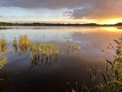 Holiday house 5 Sterne Ferienhaus in Ansager - Outdoor photo 34