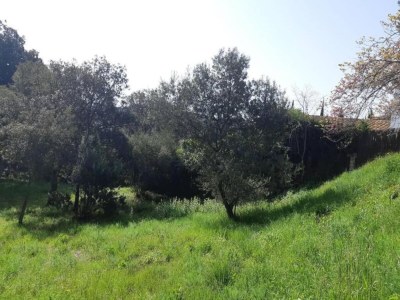 Holiday park Safari Tent in Begur near Costa Brava Beach - Environment photo 33