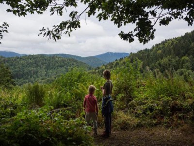 Holiday park Lakefront Glamping w/ Pets - Environment photo 9