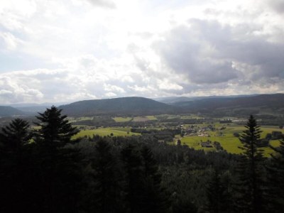 Holiday park Lakefront Glamping w/ Pets - Environment photo 10