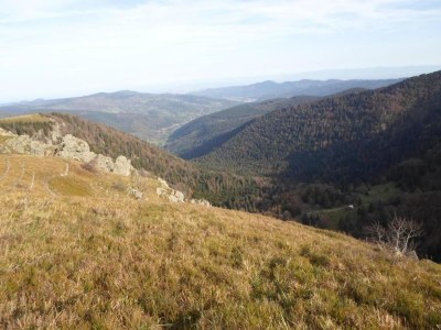 Holiday park Lakefront Glamping w/ Pets - Environment photo 15