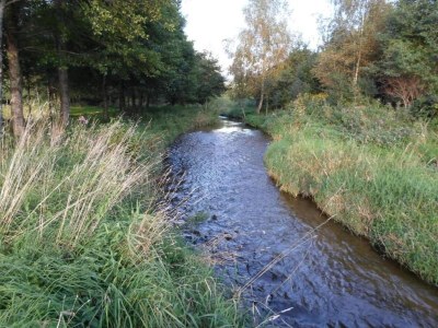 Holiday park Lakefront Glamping w/ Pets - Environment photo 19