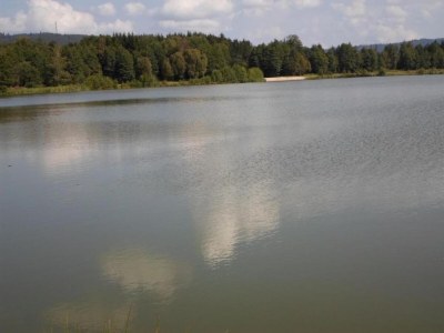 Holiday park Lakefront Glamping w/ Pets - Environment photo 22