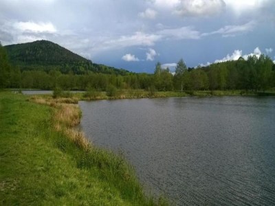 Holiday park Lakefront Glamping w/ Pets - Environment photo 24