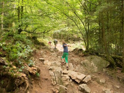 Holiday park Lakefront Glamping w/ Pets - Environment photo 25