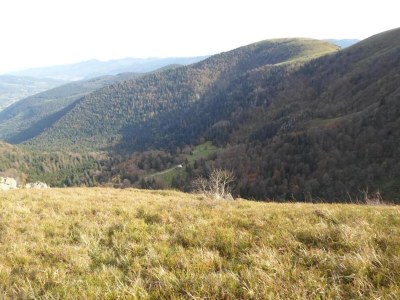 Holiday park Lakefront Glamping w/ Pets - Environment photo 26