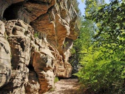 Holiday park Lakefront Glamping w/ Pets - Environment photo 27