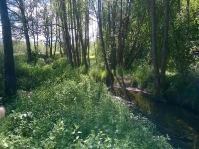 Holiday park Lakefront Glamping w/ Pets - Environment photo 28