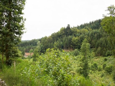 Holiday park Lakefront Glamping w/ Pets - Environment photo 29