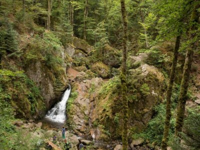 Holiday park Lakefront Glamping w/ Pets - Environment photo 30