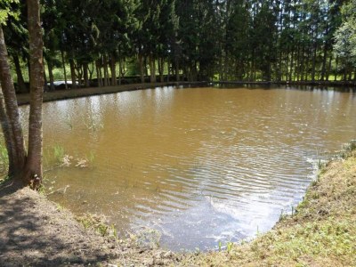 Holiday park Lakefront Glamping w/ Pets - Environment photo 31