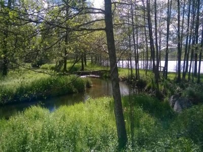 Holiday park Lakefront Glamping w/ Pets - Environment photo 34