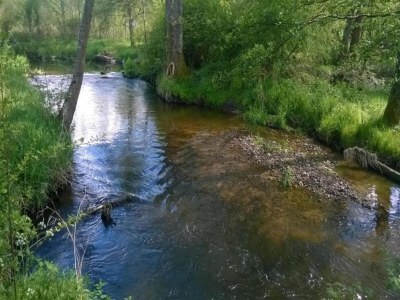 Holiday park Lakefront Glamping w/ Pets - Environment photo 35