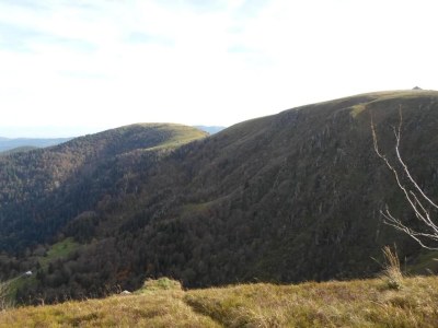 Holiday park Lakefront Glamping w/ Pets - Environment photo 36