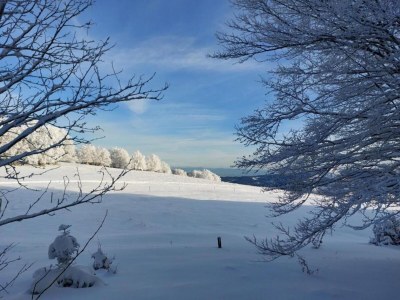 Holiday park Lakefront Glamping w/ Pets - Environment photo 37