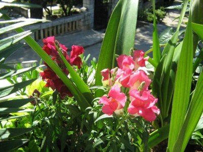 Apartment Apartments Elelu - Two-Bedroom Apartment with Terrace - Outdoor photo 11