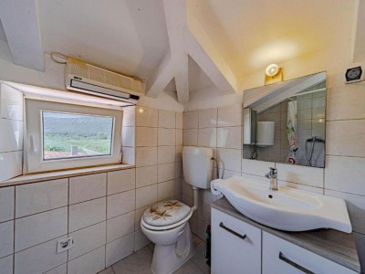 Holiday house Natur Olive House Ston - Features photo 10