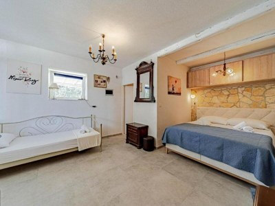 Holiday house Natur Olive House Ston - Features photo 17