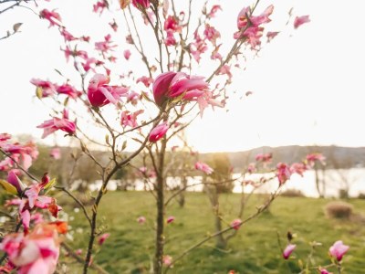 Holiday house Four-bedroom house with terrace Ribarići, Gorski kotar K-24269 - Outdoor photo 12